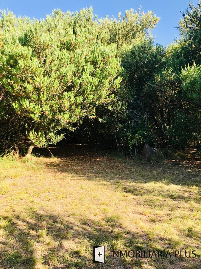 Chacra ID.462 - Venta de Chacra de 5 hectáreas en zona Las Cañas de Maldonado C916