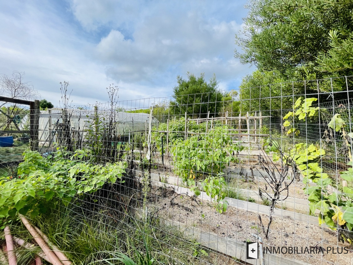 Chacra ID.462 - Venta de Chacra de 5 hectáreas en zona Las Cañas de Maldonado C916