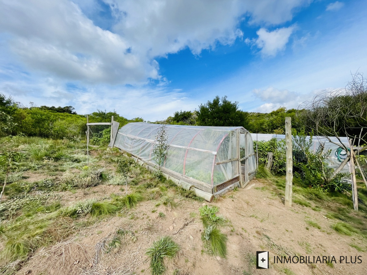 Chacra ID.462 - Venta de Chacra de 5 hectáreas en zona Las Cañas de Maldonado C916