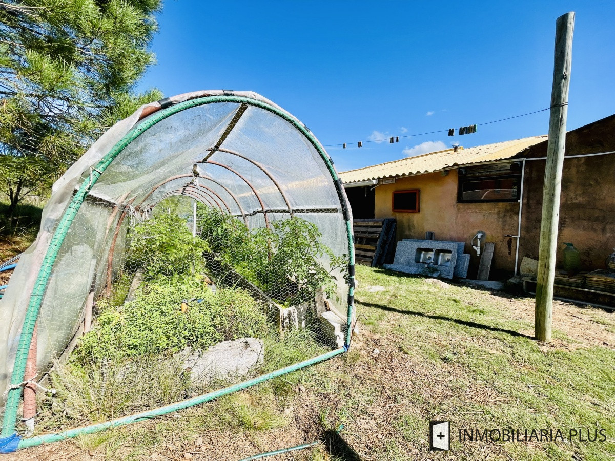 Chacra ID.462 - Venta de Chacra de 5 hectáreas en zona Las Cañas de Maldonado C916