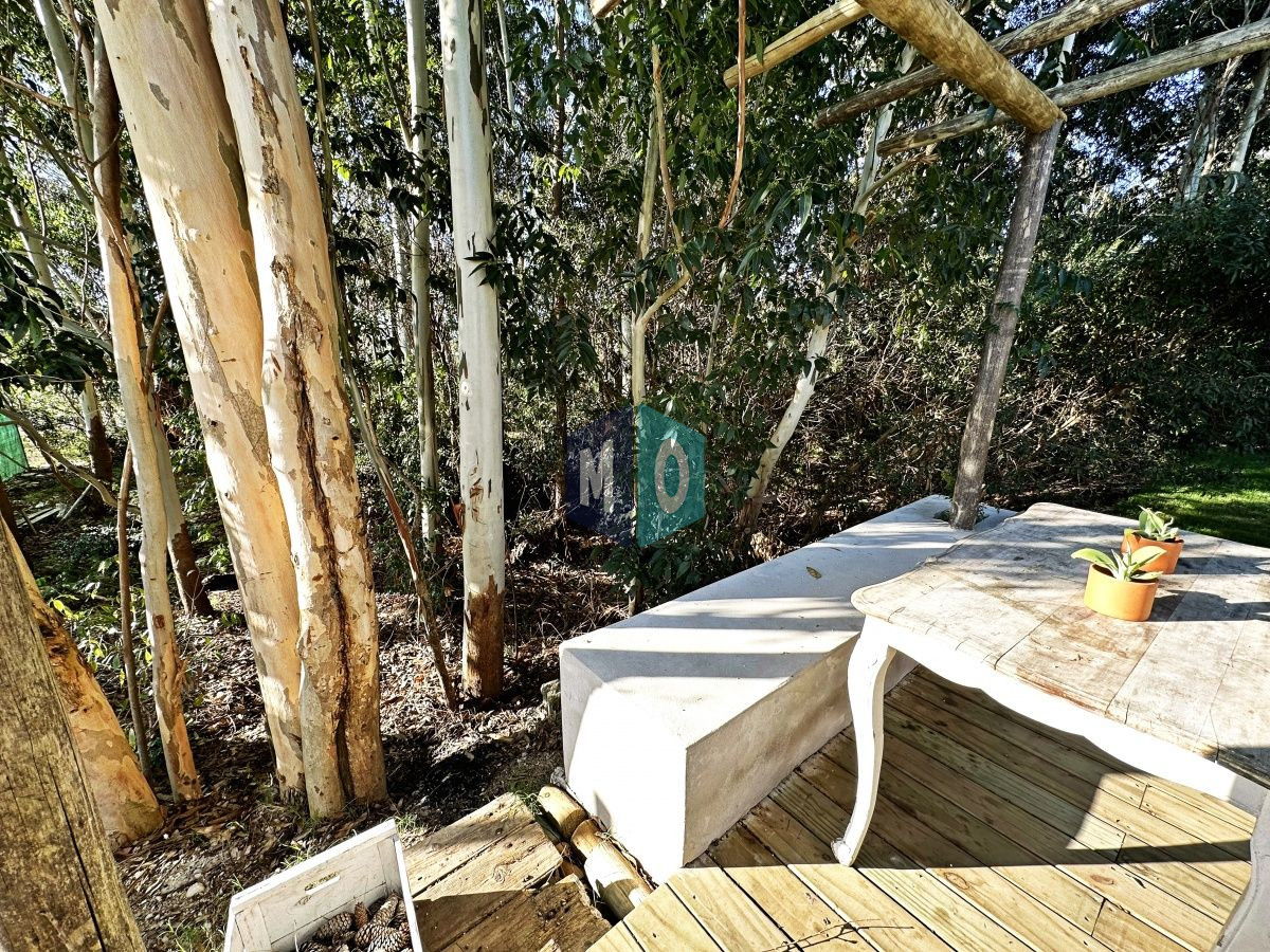 Casa ID.804 - Casa moderna en venta y alquiler anual de tres dormitorios en Parque Burnett, Pinares