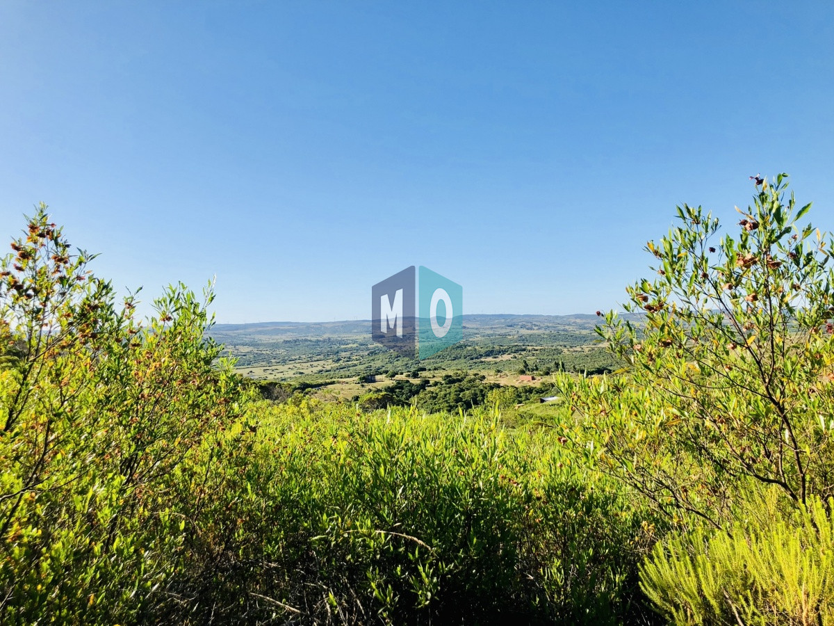 Chacra ID.207 - Maravillosa Chacra en venta de 5 hectareas en zona Las Cañas, Maldonado