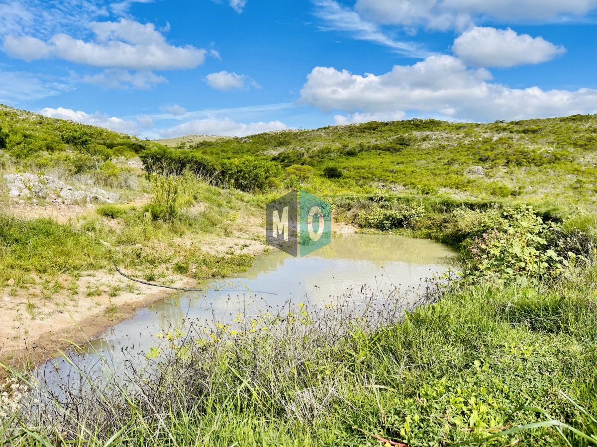 Chacra ID.207 - Maravillosa Chacra en venta de 5 hectareas en zona Las Cañas, Maldonado