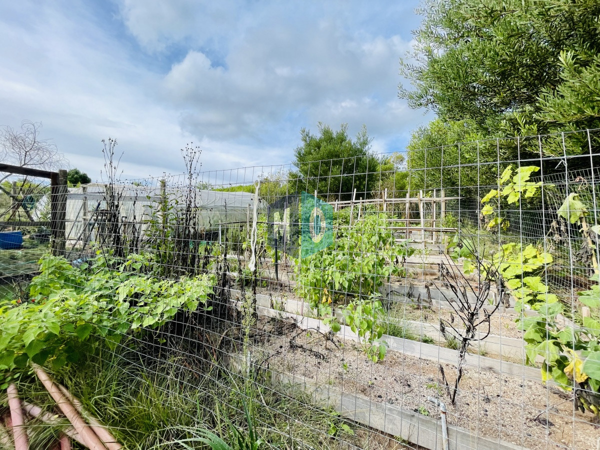 Chacra ID.207 - Maravillosa Chacra en venta de 5 hectareas en zona Las Cañas, Maldonado