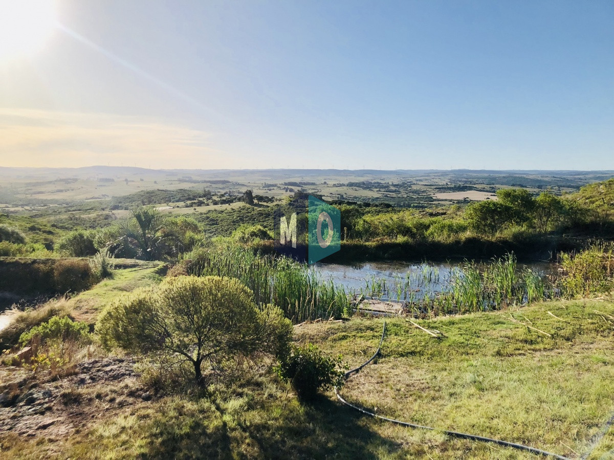 Chacra ID.207 - Maravillosa Chacra en venta de 5 hectareas en zona Las Cañas, Maldonado