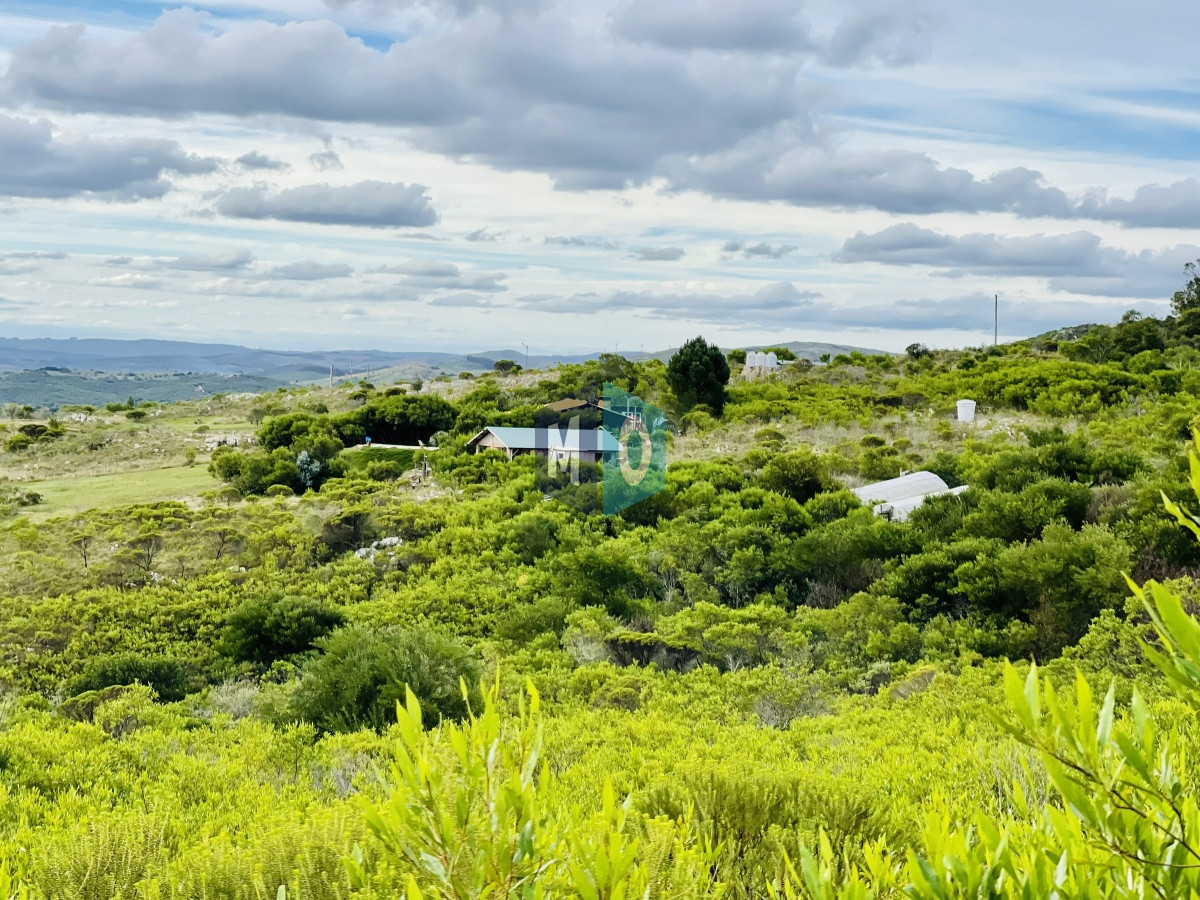 Chacra ID.207 - Maravillosa Chacra en venta de 5 hectareas en zona Las Cañas, Maldonado