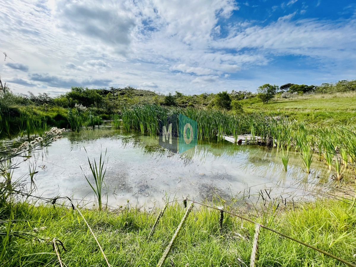 Chacra ID.207 - Maravillosa Chacra en venta de 5 hectareas en zona Las Cañas, Maldonado