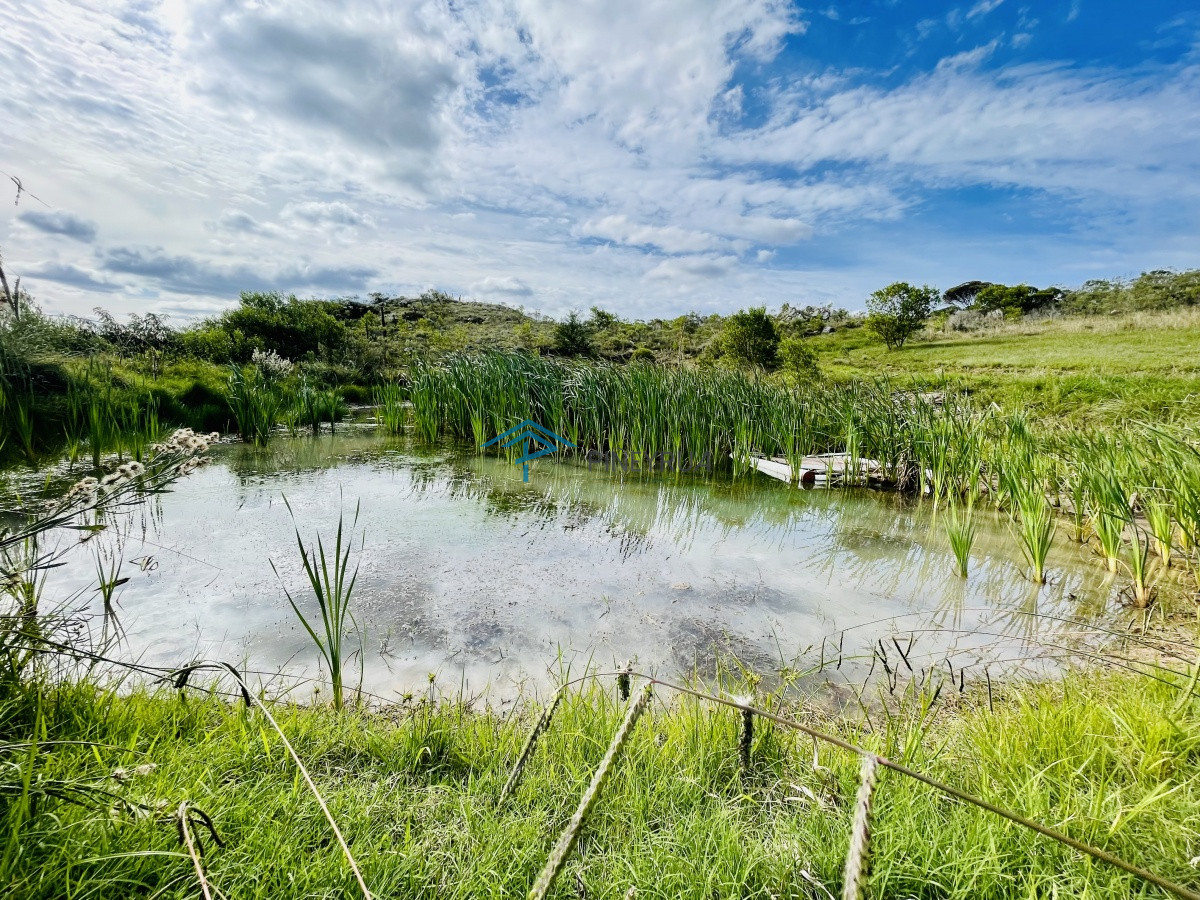 Chacra ID.204 - Maravillosa Chacra en venta de 5 hectareas en zona Las Cañas, Maldonado
