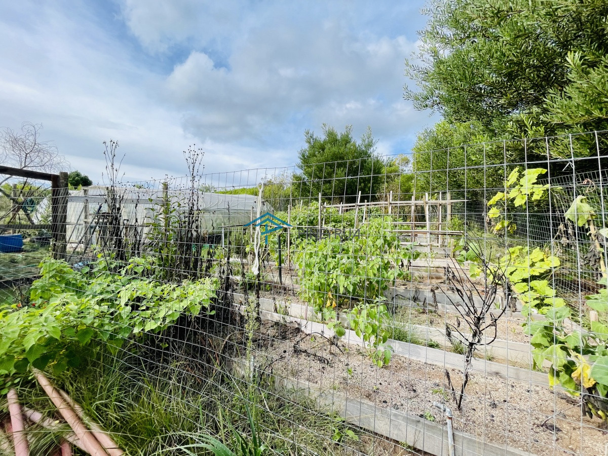 Chacra ID.204 - Maravillosa Chacra en venta de 5 hectareas en zona Las Cañas, Maldonado