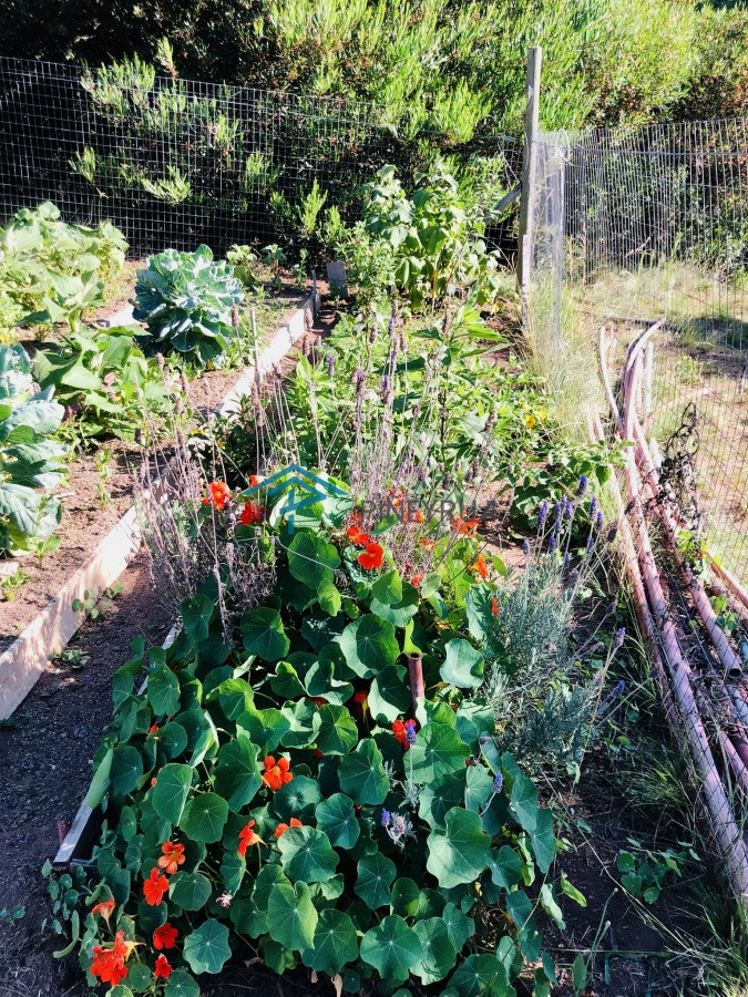 Chacra ID.204 - Maravillosa Chacra en venta de 5 hectareas en zona Las Cañas, Maldonado