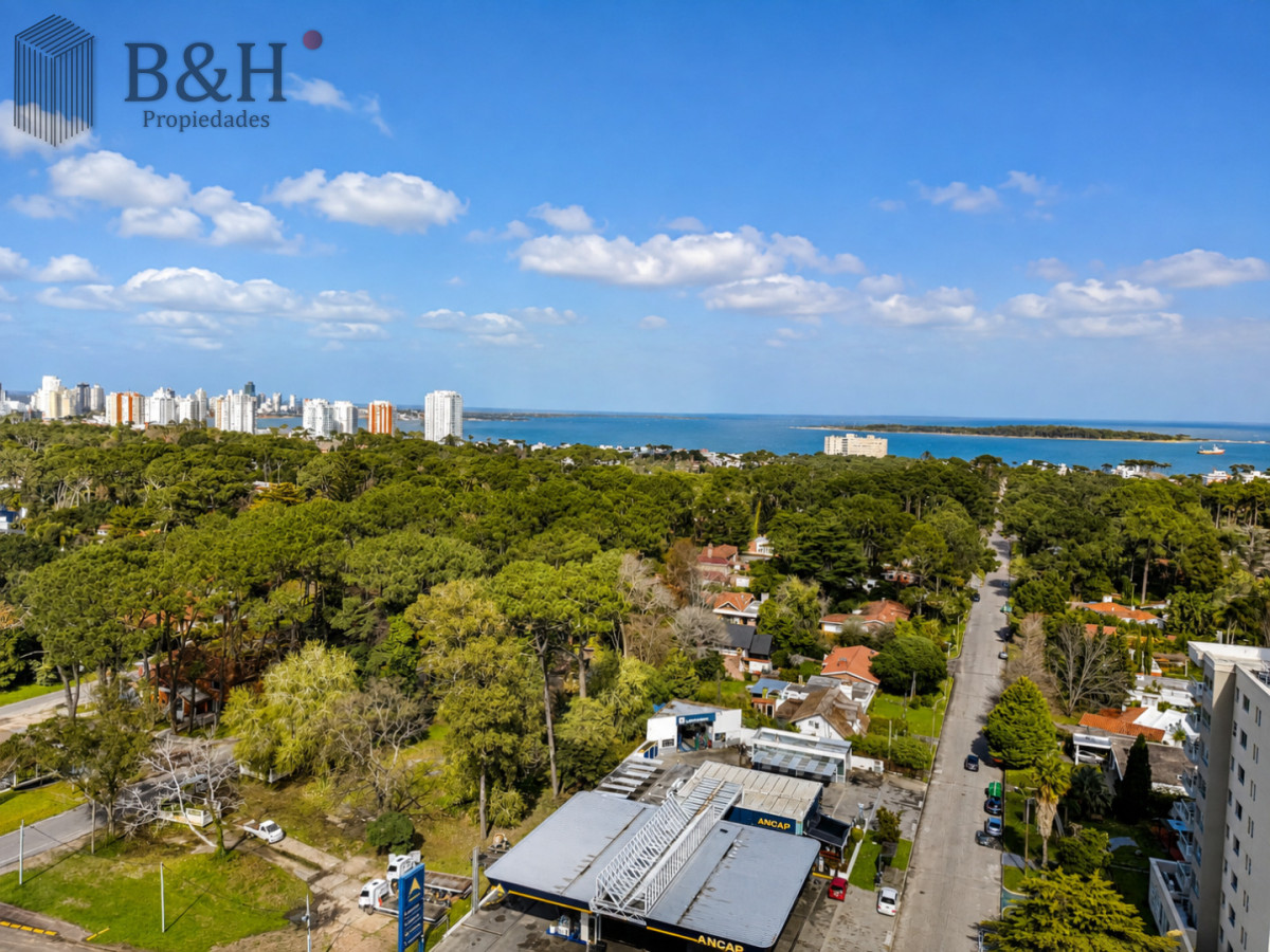 Apartamento ID.319 - Venta y alquiler anual de amplio apartamento de tres dormitorios completamente reciclado sobre Roosevelt, Punta del Este