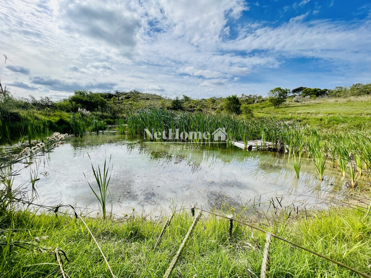 Chacra ID.364 - Las Cañas, Maldonado Maravillosa Chacra en venta de 5 hectareas 