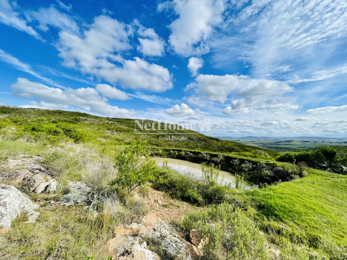 Chacra ID.364 - Las Cañas, Maldonado Maravillosa Chacra en venta de 5 hectareas 