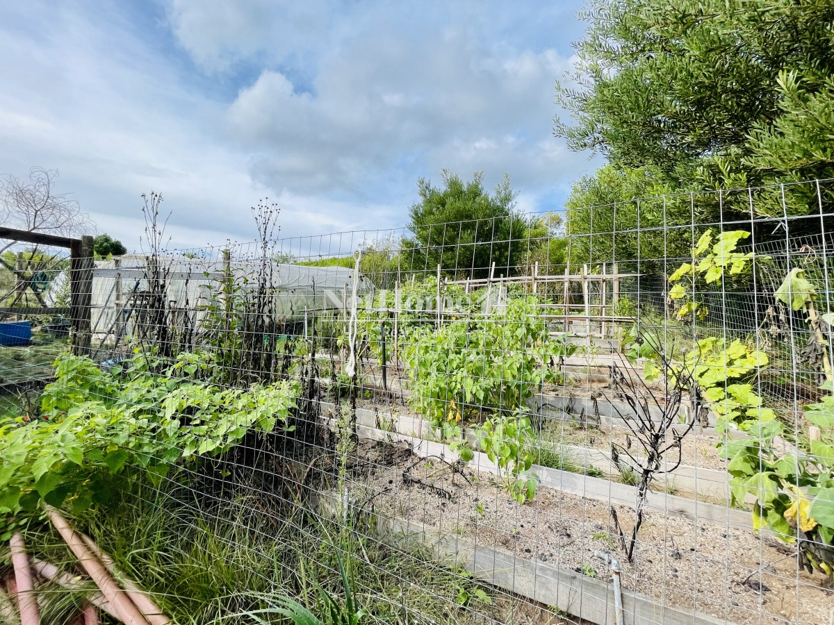 Chacra ID.364 - Las Cañas, Maldonado Maravillosa Chacra en venta de 5 hectareas 