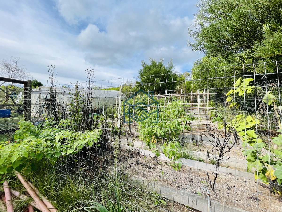 Chacra ID.850/Maravillosa-Chacra-en-venta-de-5-hectareas-en-zona-Las-Cañas,-Maldonado - Maravillosa Chacra en venta de 5 hectareas en zona Las Cañas, Maldonado