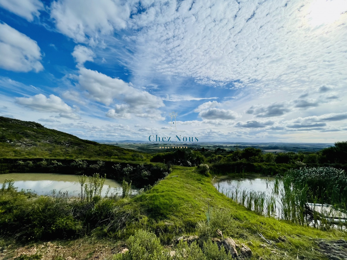 Chacra ID.1178 - Venta y alquiler anual de Maravillosa Chacra en venta de 5 hectareas en zona Las Cañas, Maldonado
