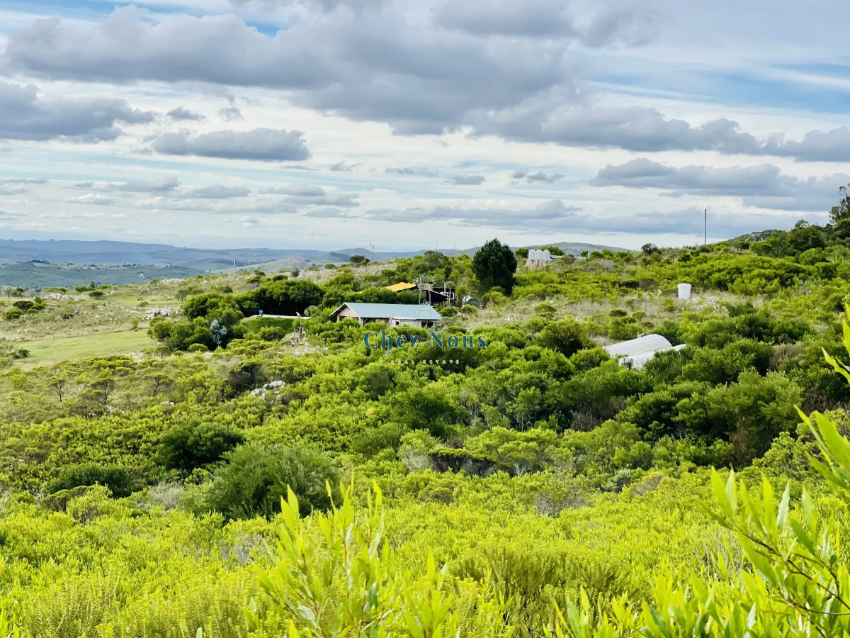 Chacra ID.1178 - Venta y alquiler anual de Maravillosa Chacra en venta de 5 hectareas en zona Las Cañas, Maldonado