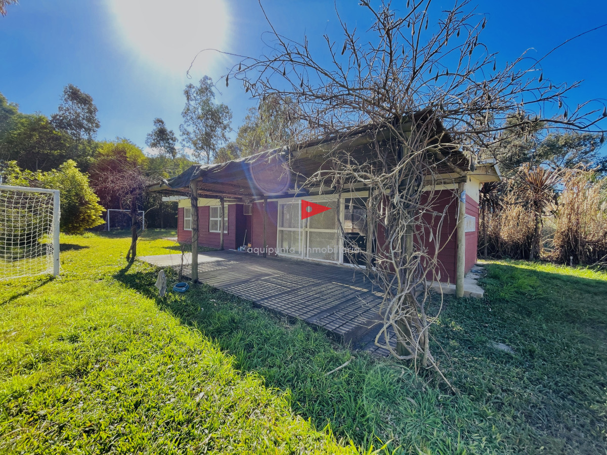 Sauce de Portezuelo - GoPunta - Portal Inmobiliario de Punta del Este - Maldonado