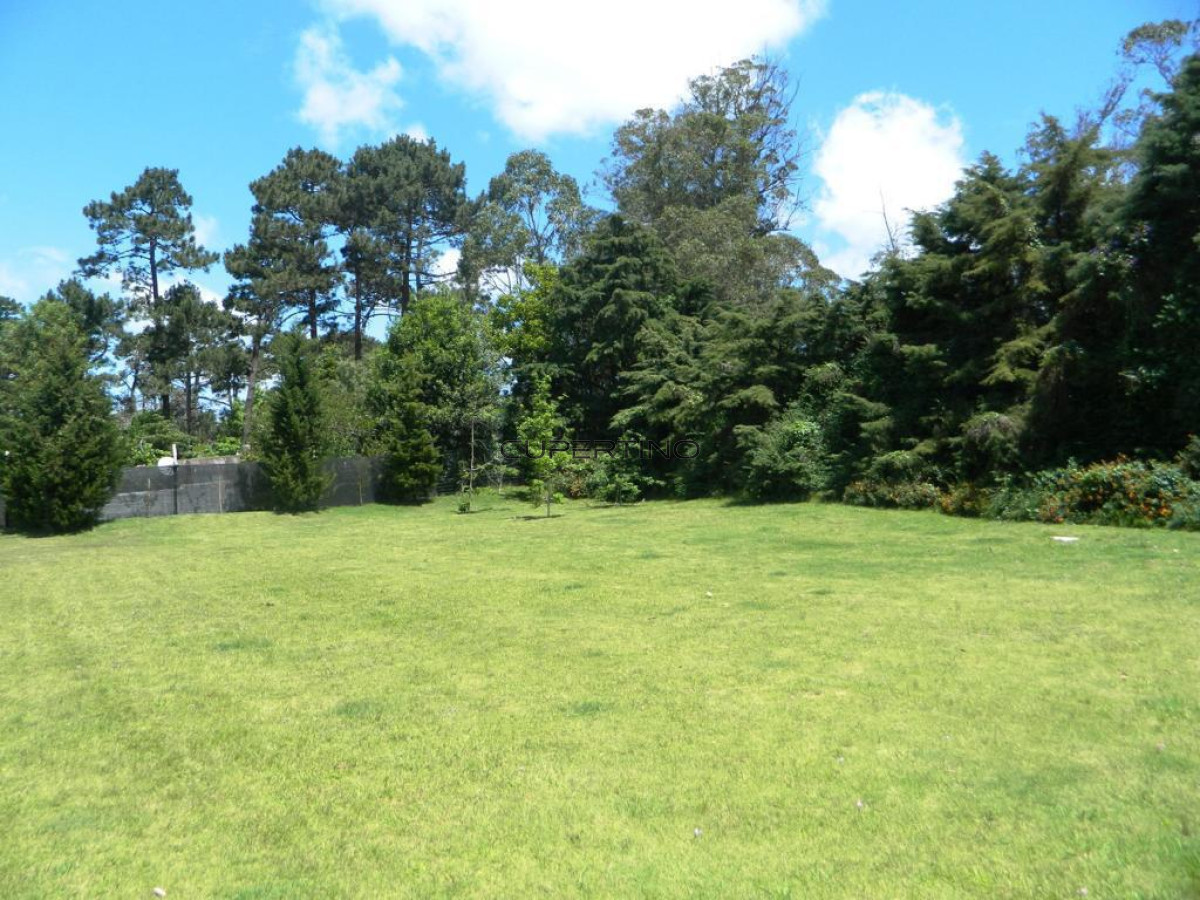 Casa en Punta del Este, Beverly Hills — foto 32