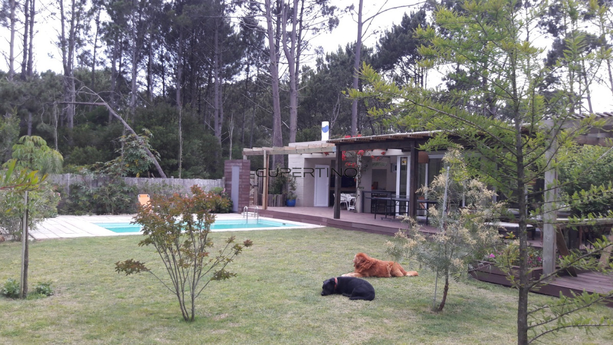 Casa en Maldonado, Burnett — foto 16
