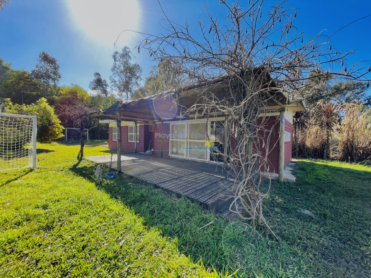Sauce de Portezuelo - GoPunta - Portal Inmobiliario de Punta del Este - Maldonado