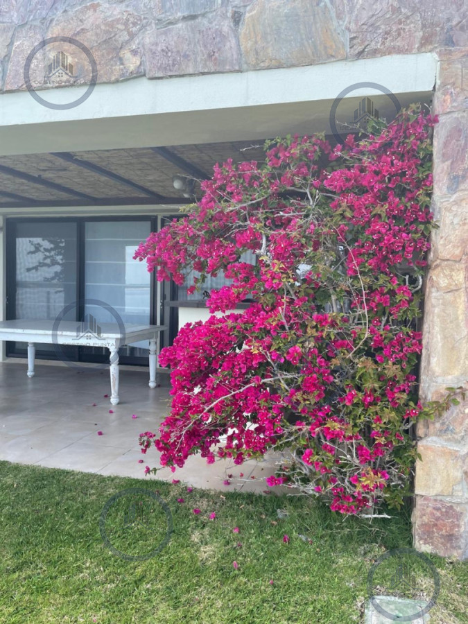 Apartamento ID.421 - Maravilloso departamento de 2 dormitorios con parrillero y salida al jardín en alquiler 