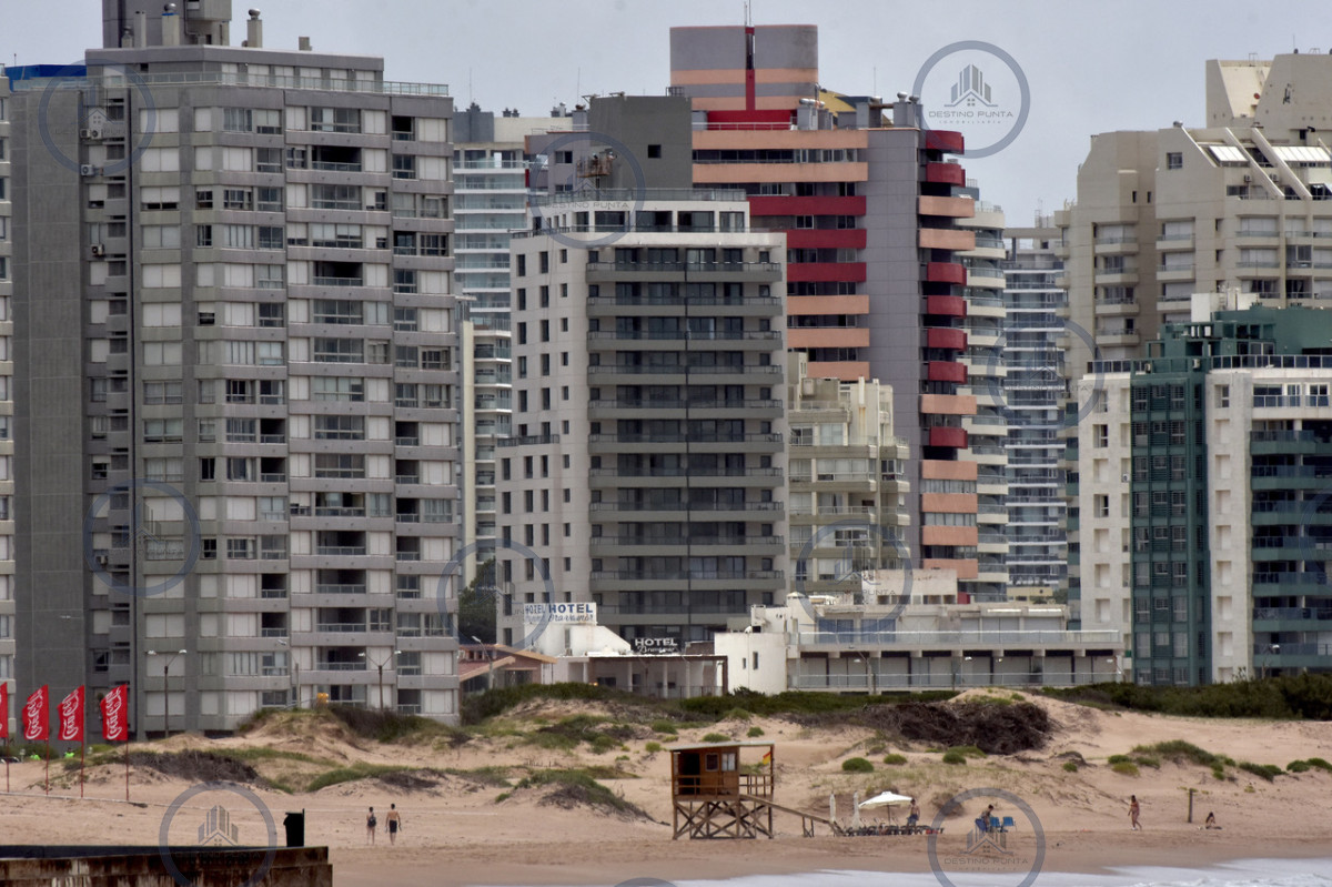 Apartamento ID.450 - Alquiler de Moderno Apartamento de 1 Dormitorio a metros de Playa Brava, Punta del Este