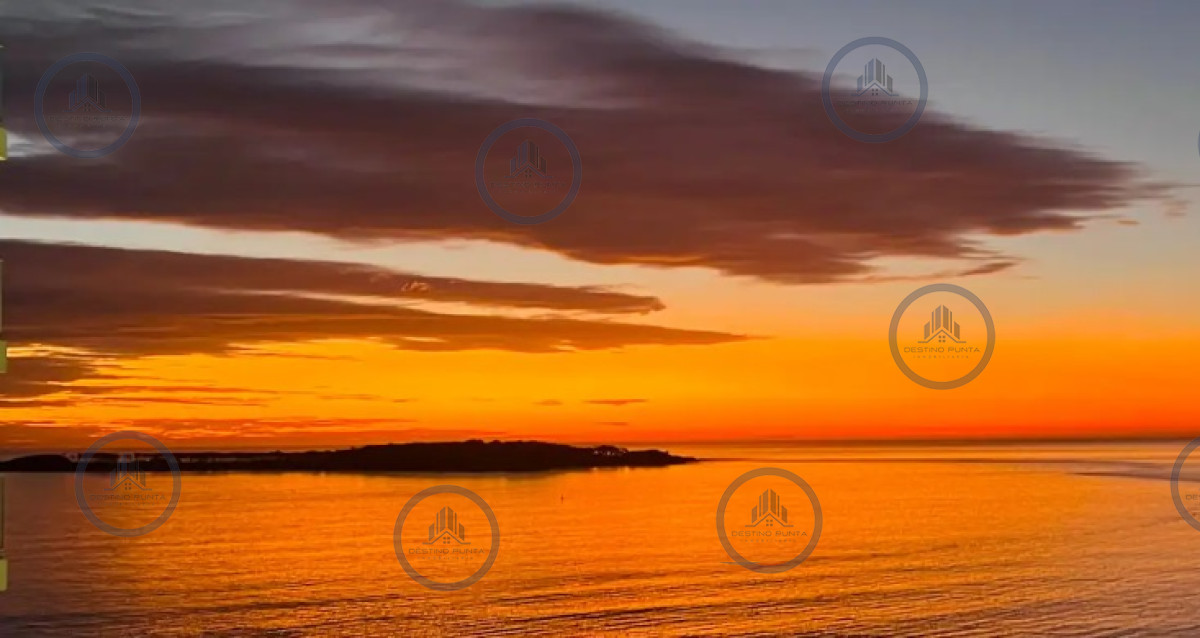 Apartamento ID.1729 - Excelente Apartamento de 2 Dormitorios Frente al Mar - Punta del Este