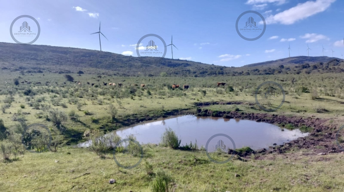 Venta de chacra de 10 hectáreas con 454 m2 en Paraje Los Caracoles — fotografía 2