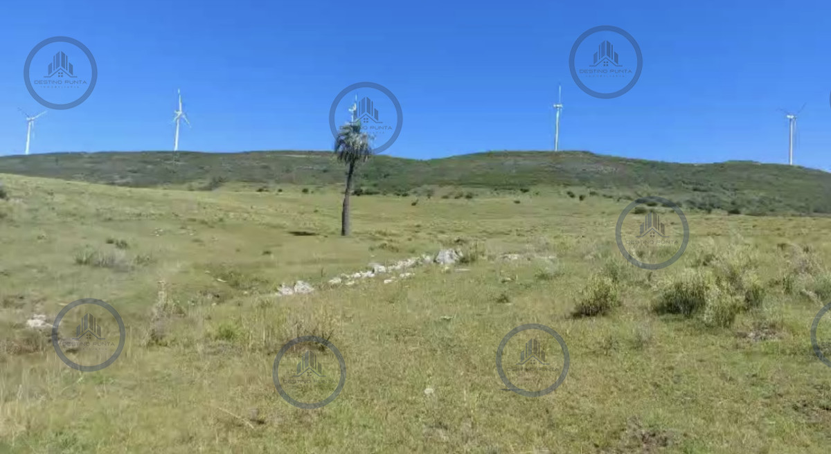 Chacra ID.2360 - Venta de chacra en Paraje los Caracoles cercana a ruta 39 a pocos minutos de Punta del Este