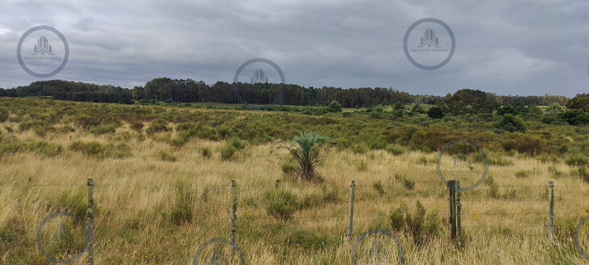 Chacra ID.2432 - Venta de Chacras de 5 hectáreas a 800 metros de Ruta 104, Manantiales