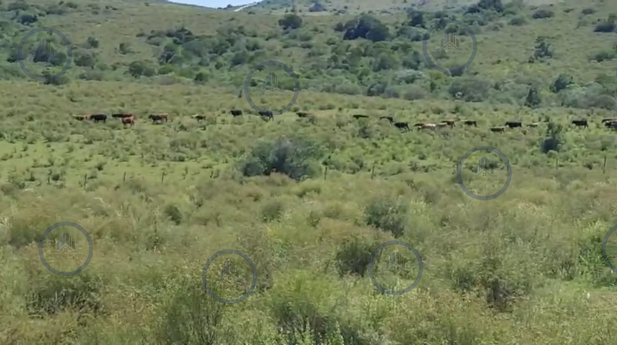 Chacra ID.2360 - Venta de chacra en Paraje los Caracoles cercana a ruta 39 a pocos minutos de Punta del Este