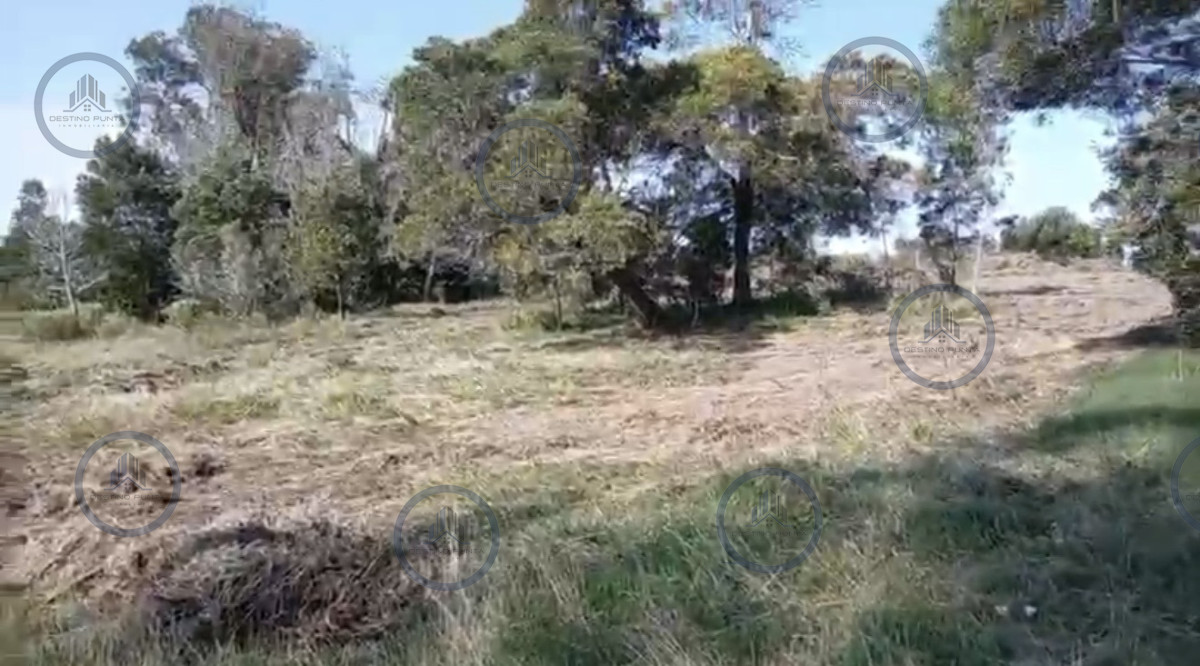 Venta de lote de 800 m2 en Eden Rock, José Ignacio — fotografía 3