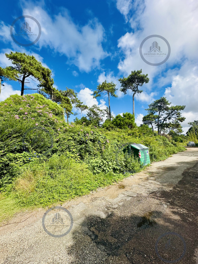 ¡Oportunidad única en Punta del Este! Lote exclusivo sobre Av. del Mar – 5000 m² — fotografía 4