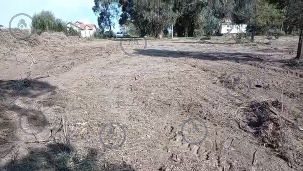 Venta de lote de 800 m2 en Eden Rock, José Ignacio — fotografía 4