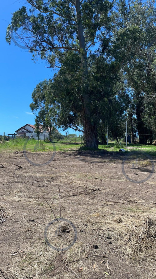 Venta de lote de 800 m2 en Eden Rock, José Ignacio — fotografía 1