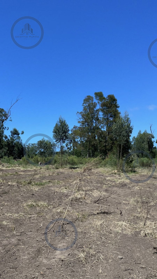 Venta de lote de 800 m2 en Eden Rock, José Ignacio — fotografía 2