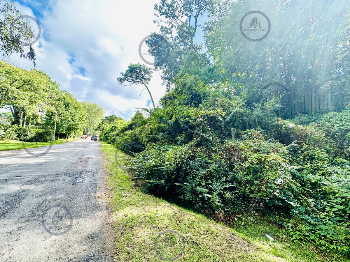 ¡Oportunidad única en Punta del Este! Lote exclusivo sobre Av. del Mar – 5000 m² — fotografía 3