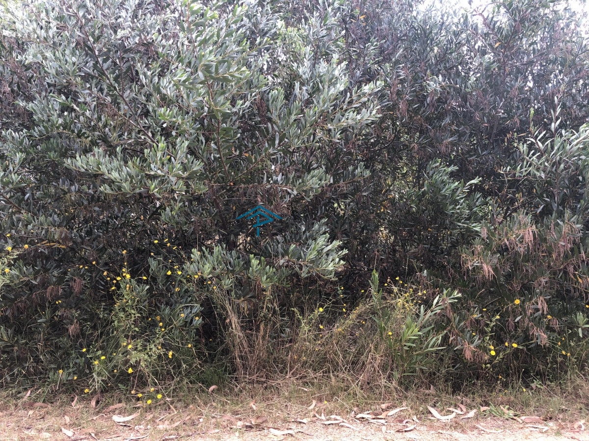 Terreno ID.189 - Venta Terreno en Santa Mónica próximo a J. Ignacio