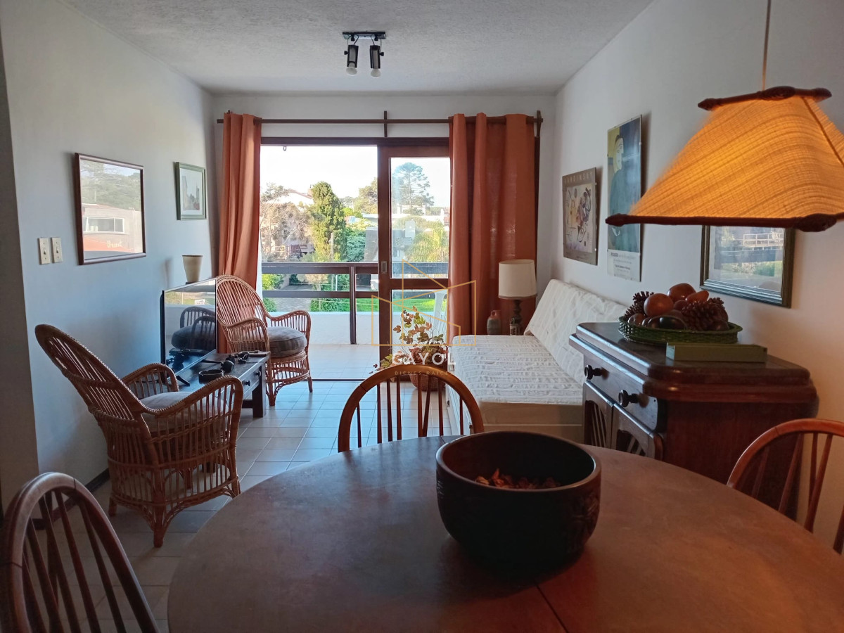 Apartamento ID.496 - Apartamento 1 dormitorio alquiler temporada 