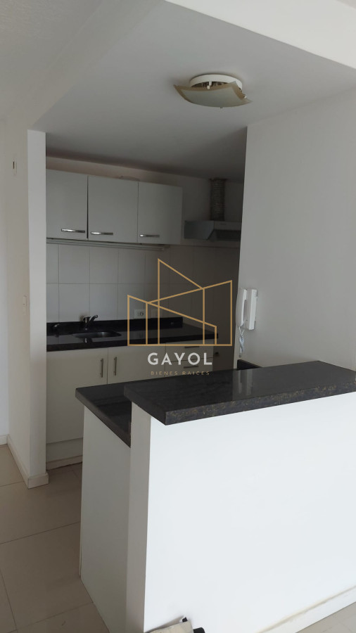 Apartamento ID.238 - ALQUILER ANUAL 1 DORMITORIO Y MEDIO MALDONADO