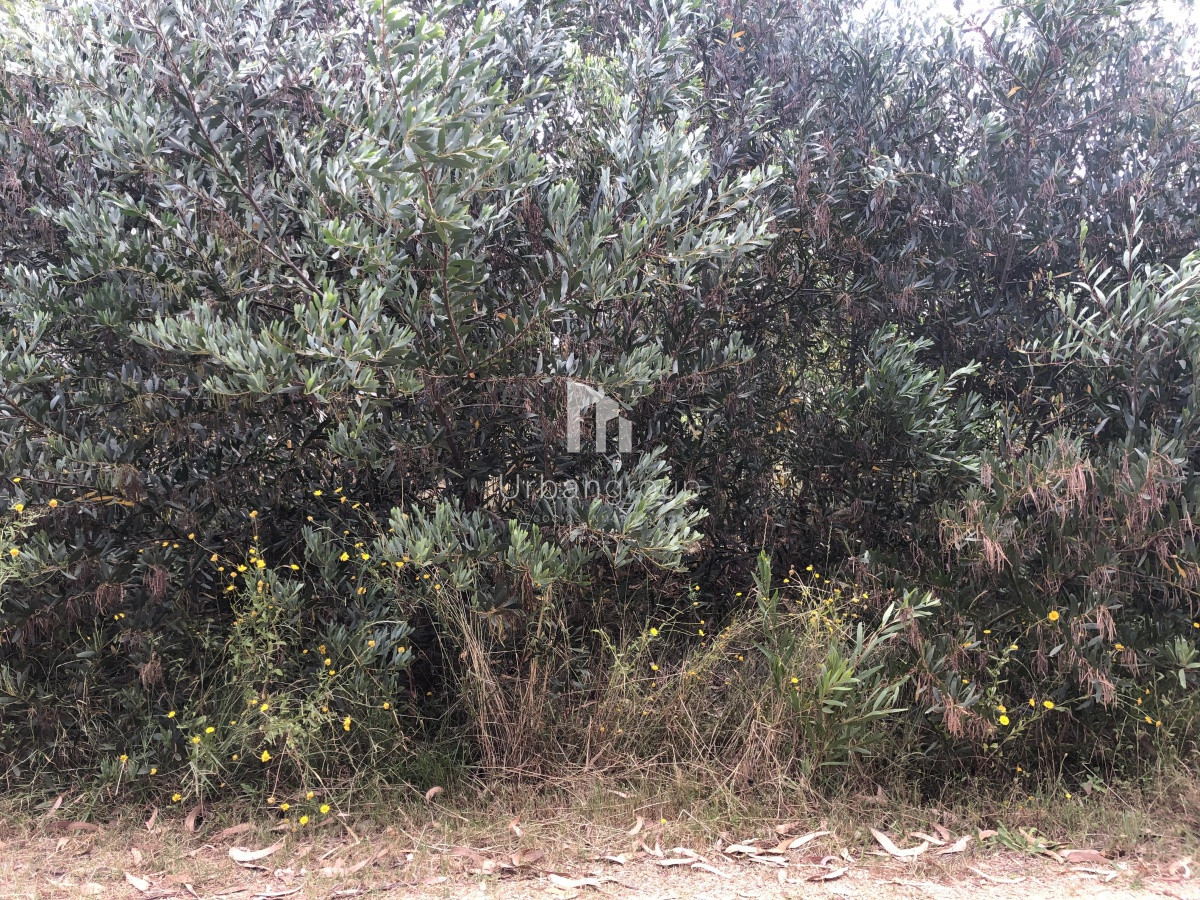 Venta Terreno en Santa Mónica próximo a J. Ignacio 3