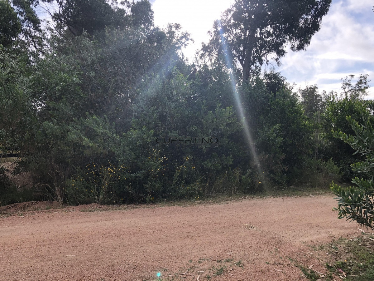 Terreno en Jose Ignacio, Santa Monica — foto 2