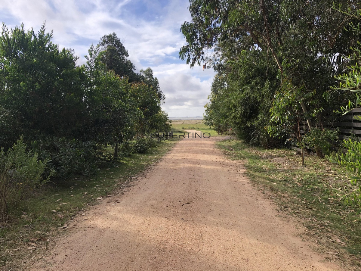 Terreno en Jose Ignacio, Santa Monica — foto 1