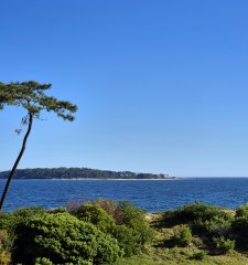 Apartamento 1 dormitorio en venta con vista al Mar edificio primera línea Playa Mansa Punta del Este