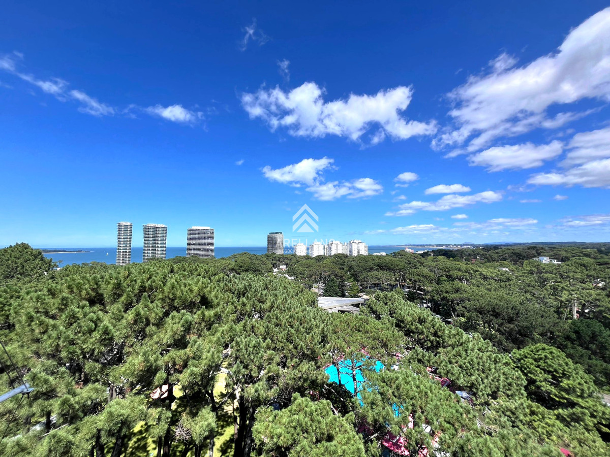 Apartamento ID.4545 - Venta apartamento 2 dormitorios con vista al mar Playa Mansa , Punta del Este 