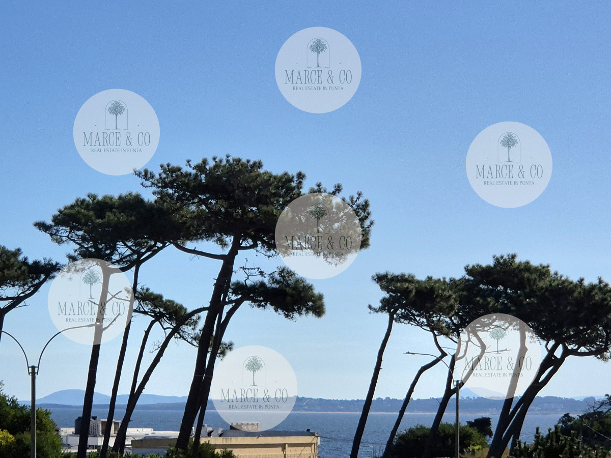 Apartamento ID.2155 - Apartamento 1 dormitorio en venta con vista al Mar edificio primera línea Playa Mansa Punta del Este
