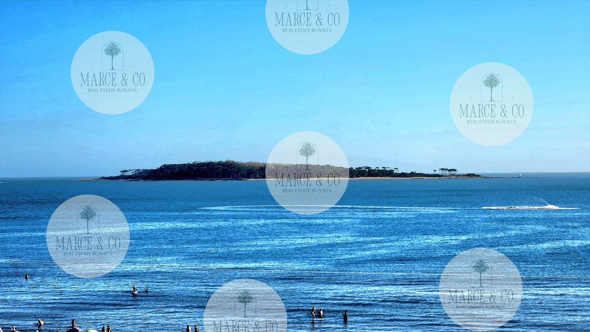 Apartamento ID.2219 - Apartamento 2 dormitorios Vista infinita al mar primera línea con estufa a leña esquinero al oeste garage Playa Mansa Punta del Este