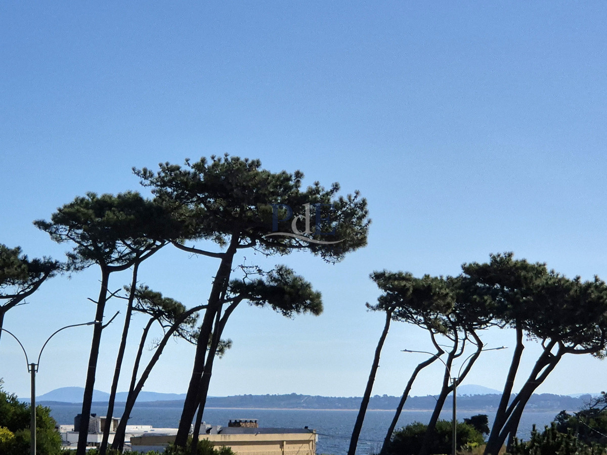 Apartamento 1 dormitorio en venta con vista al Mar edificio primera línea Playa Mansa Punta del Este - Imagen 1