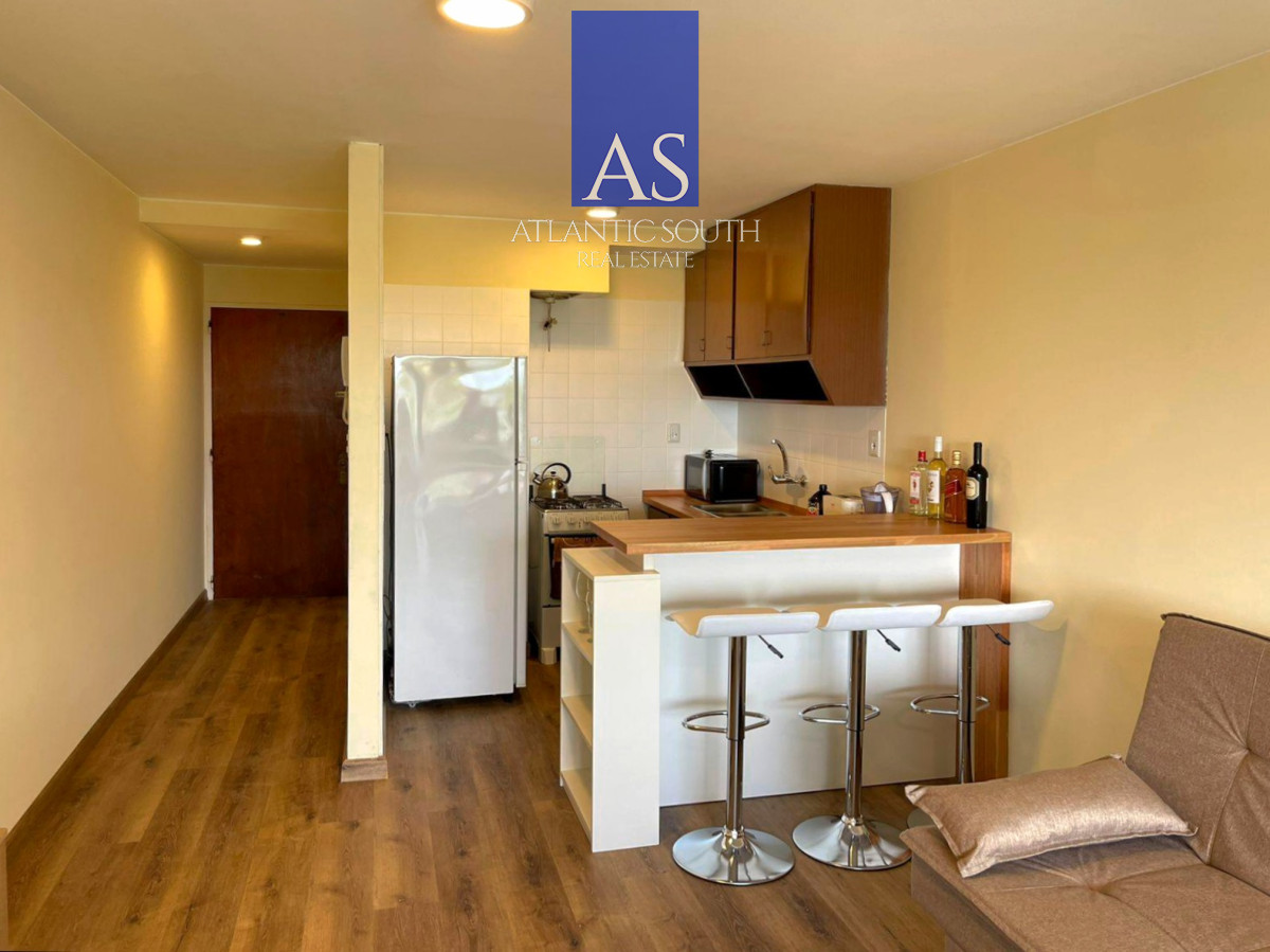 Apartamento ID.4371 - Loft monoambiente reciclado frente al mar con terraza y cochera Playa Mansa Punta del Este